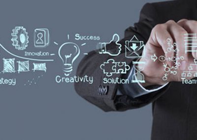Project / Program Management